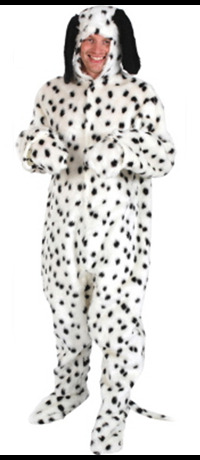Dalmation