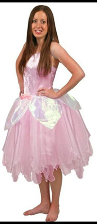 Fairy 2