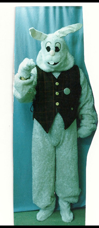 rabbit white